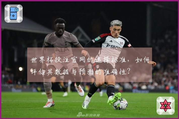 世界杯投注官网的选择标准，如何评估其数据与预测的准确性？
