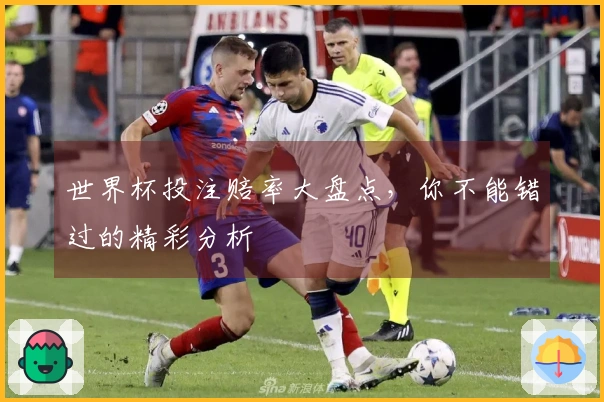 世界杯投注赔率大盘点，你不能错过的精彩分析