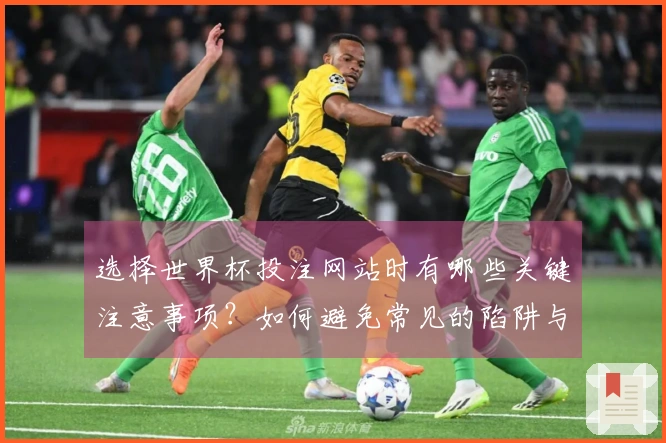 选择世界杯投注网站时有哪些关键注意事项？如何避免常见的陷阱与风险？